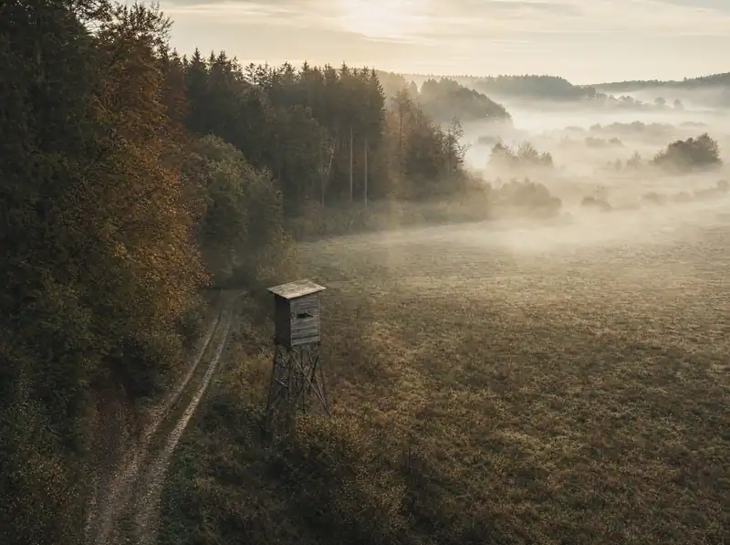 Weiter Blick über ein Revier im Morgengrauen: Waldrand, Wiese, Hochsitz am Feldrand und Nebel in den Senken